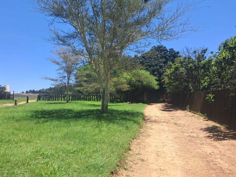 Small Holding For Sale In Piet Retief - Photo 3