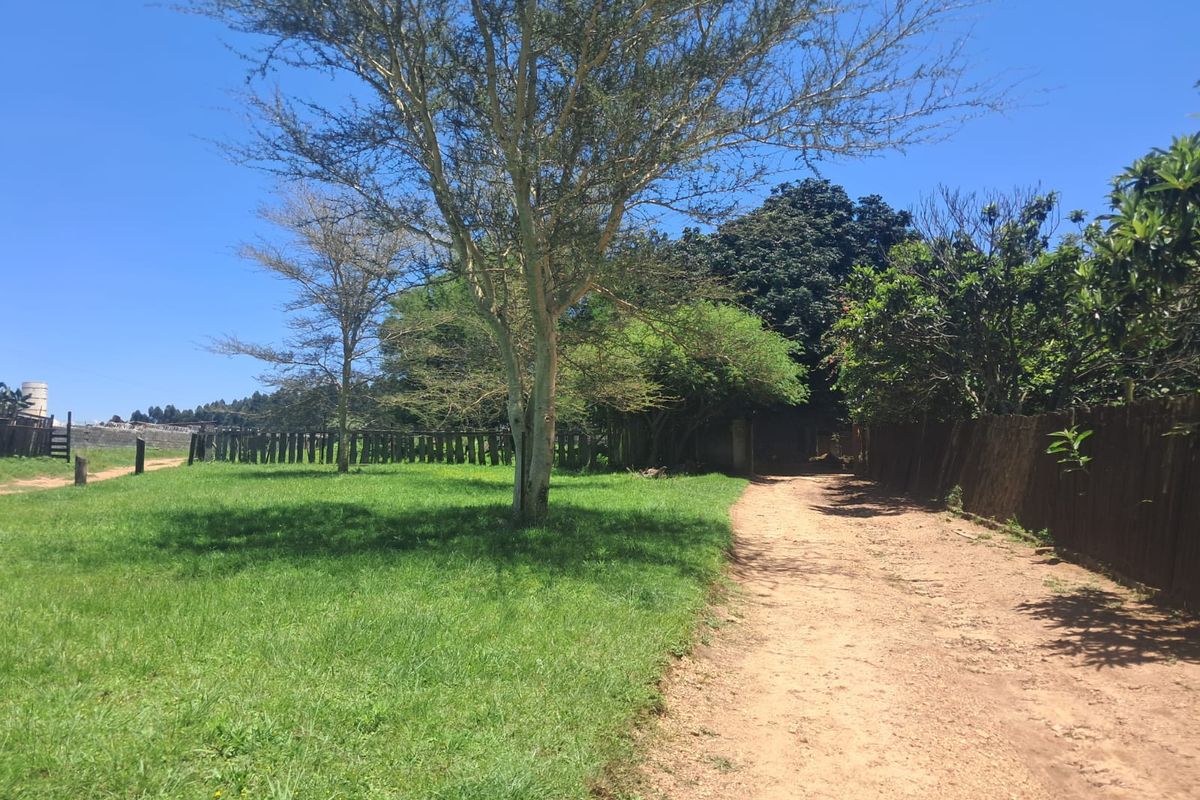 Small Holding For Sale In Piet Retief - Photo 3