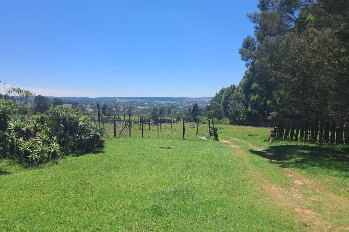 Small Holding For Sale In Piet Retief - Photo 5