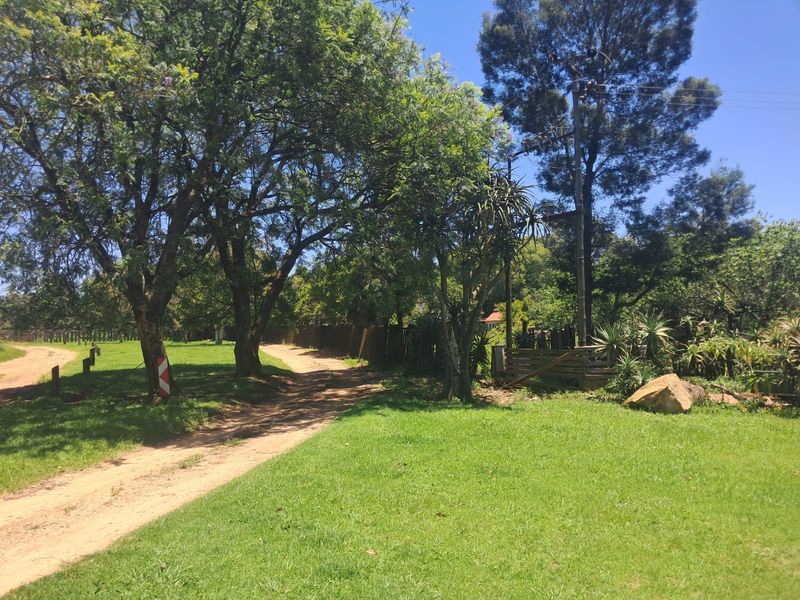 Small Holding For Sale In Piet Retief - Photo 4