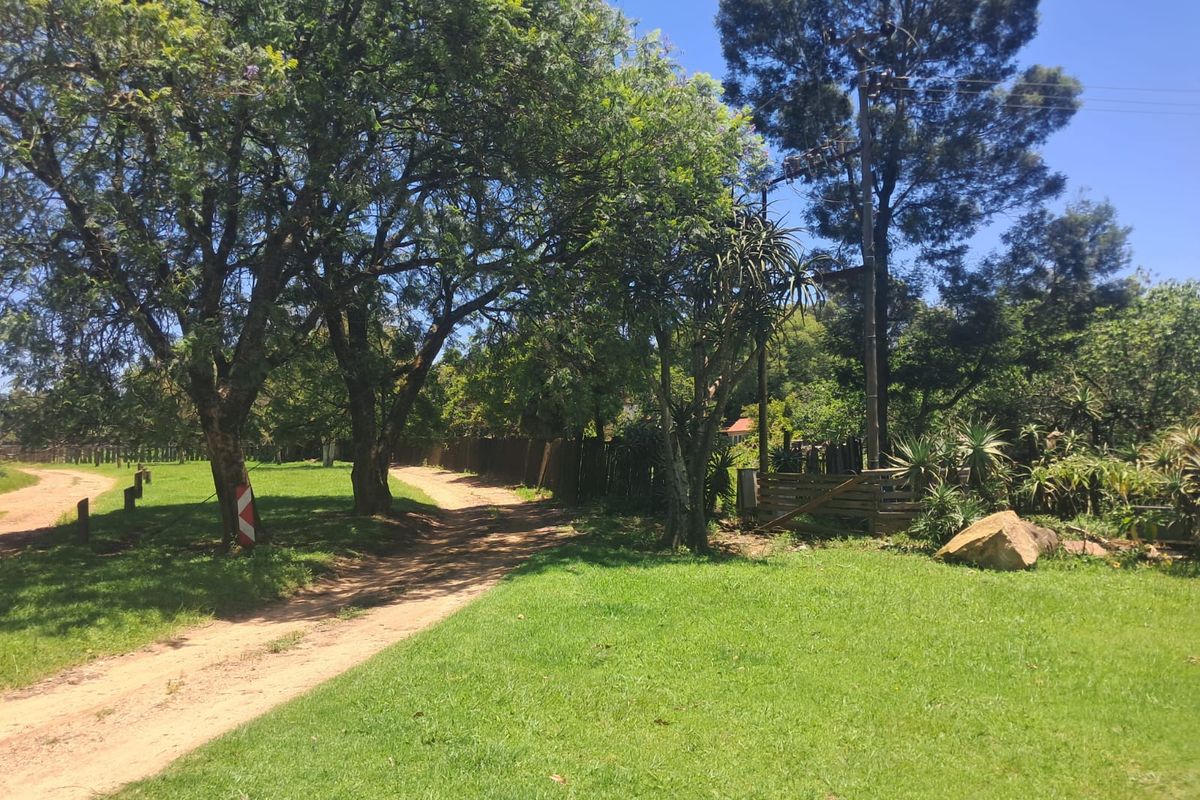 Small Holding For Sale In Piet Retief - Photo 4