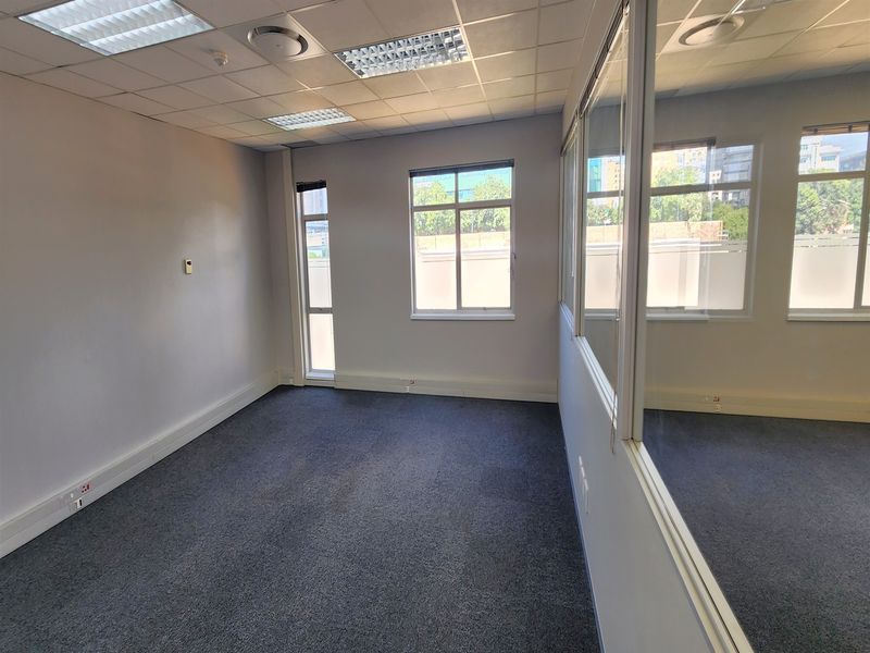 A clean, empty office space featuring a suspended ceiling, recessed lighting, carpeted flooring, and a glass partition wall with ample natural light.