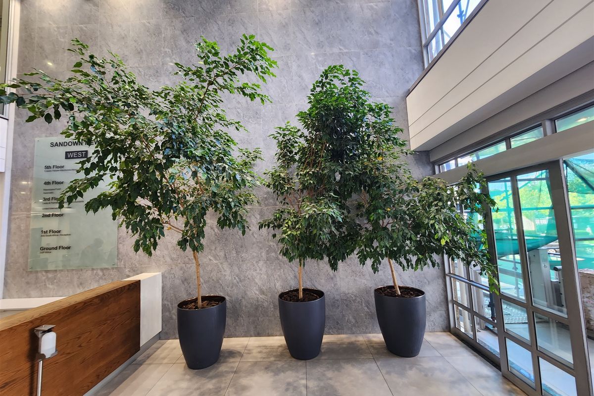 Modern office building entrance lobby featuring large format grey tiling, glass facade, and professional directory signage.
