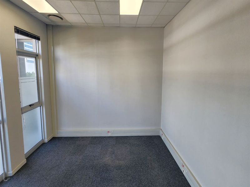 A clean, empty office space featuring neutral walls, carpeted flooring, a suspended ceiling with recessed lighting, and a large window providing natural light.