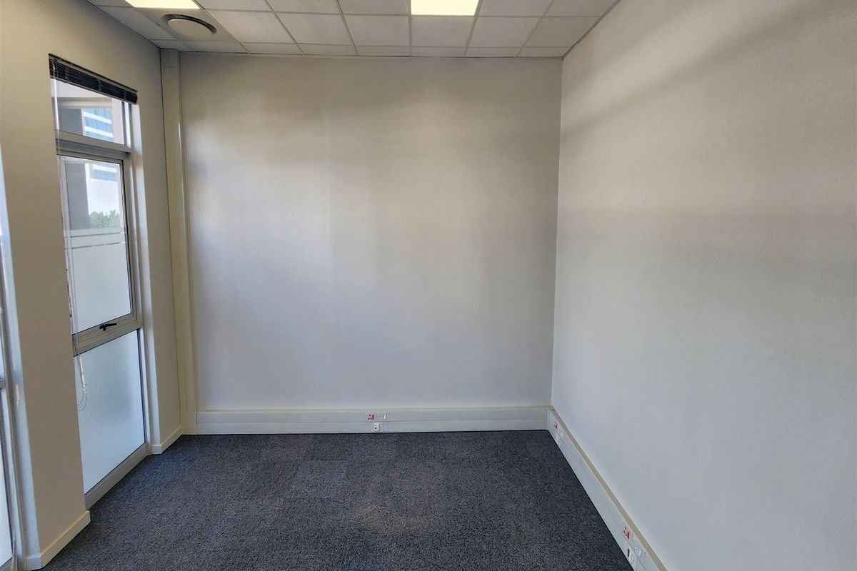 A clean, empty office space featuring neutral walls, carpeted flooring, a suspended ceiling with recessed lighting, and a large window providing natural light.