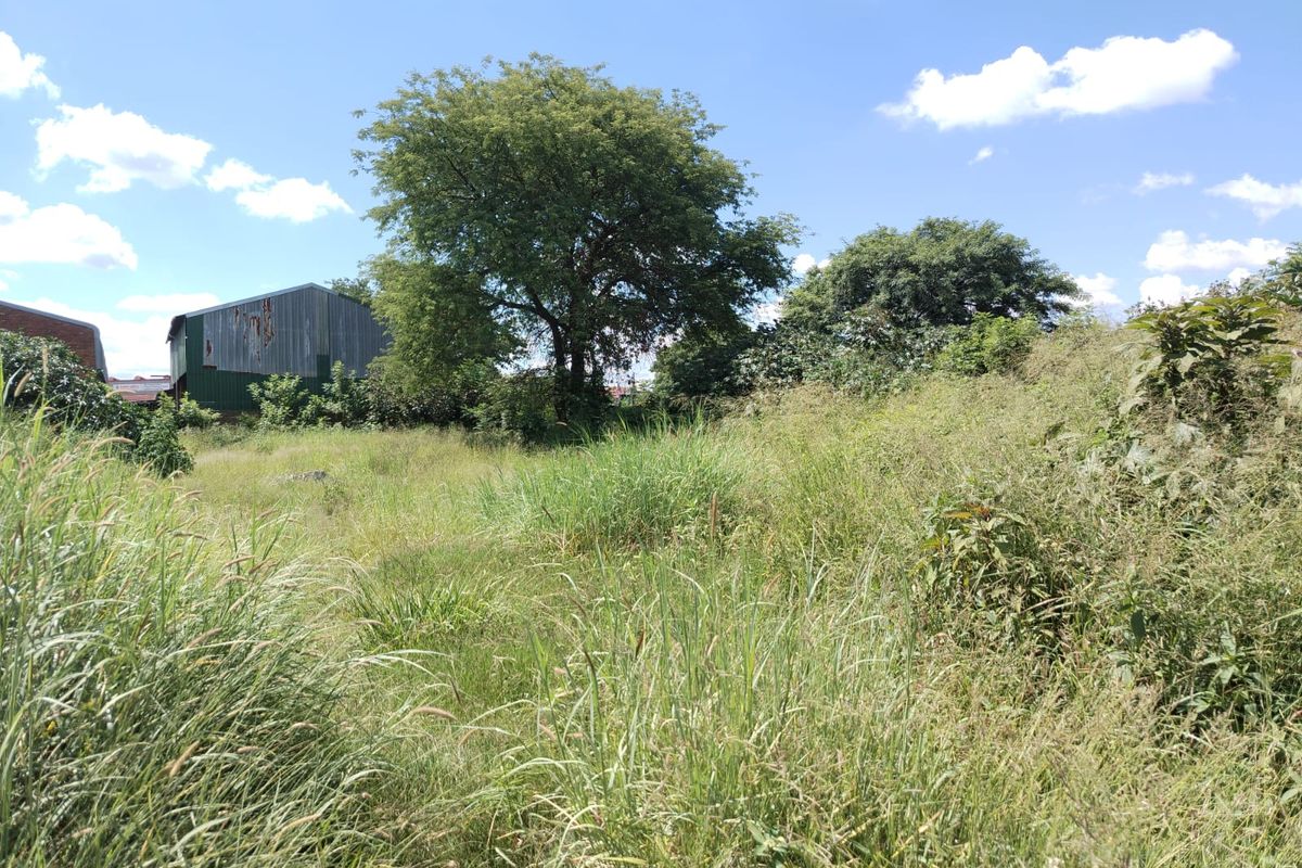 A view of a vacant commercial land plot featuring overgrown grass and mature trees, with an adjacent structure visible in the background.