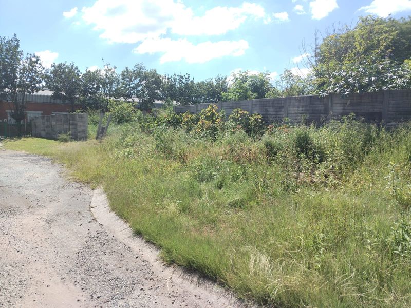 A vacant commercial land plot featuring overgrown vegetation and existing perimeter walling, accessible via an unpaved road.