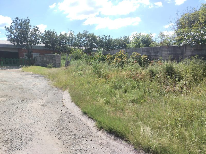 View of the commercial vacant land featuring a gravel access path, perimeter boundary walling, and overgrown vegetation on the site.
