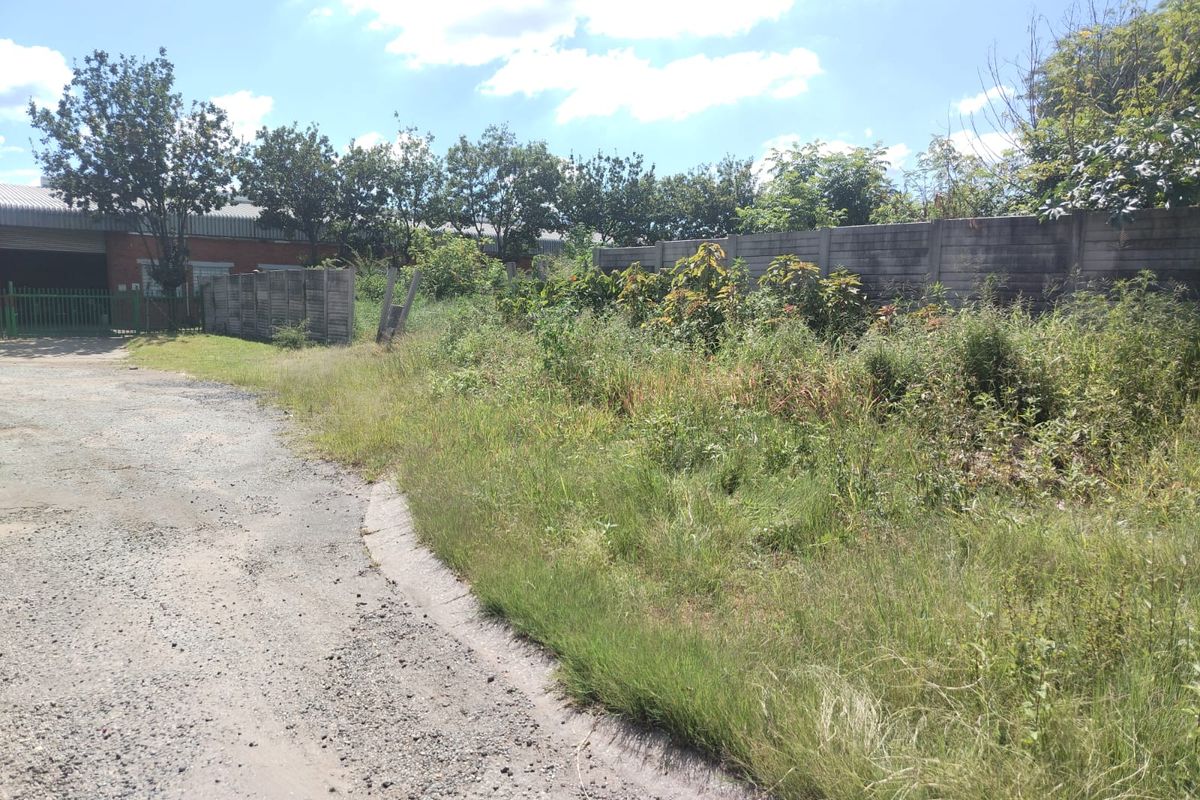 View of the commercial vacant land featuring a gravel access path, perimeter boundary walling, and overgrown vegetation on the site.