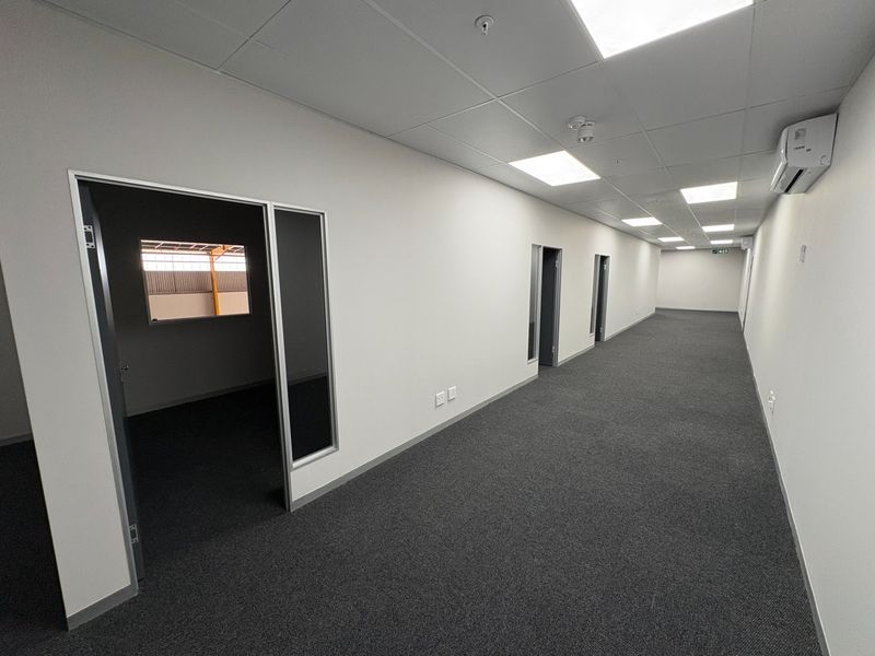 A clean, modern industrial office hallway featuring grey carpeting, suspended ceilings with recessed lighting, and multiple internal access points.