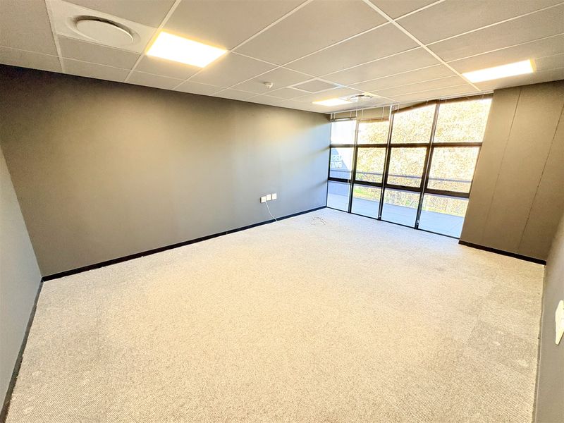 A bright, empty office space featuring a suspended ceiling, recessed lighting, carpeted flooring, and large windows providing ample natural light.