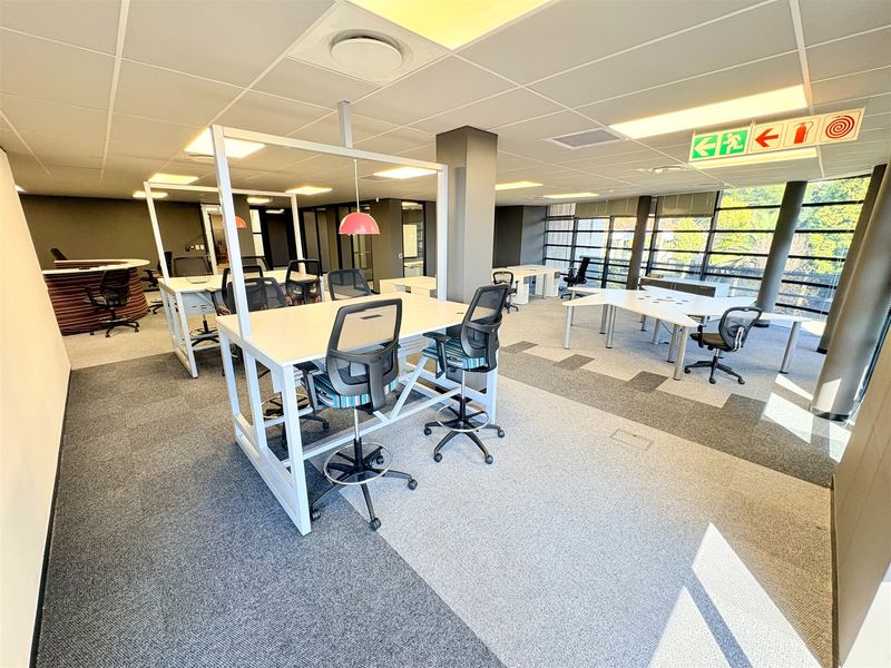 Open-plan office space featuring carpeted flooring, suspended ceilings with recessed lighting, and large windows providing ample natural light.