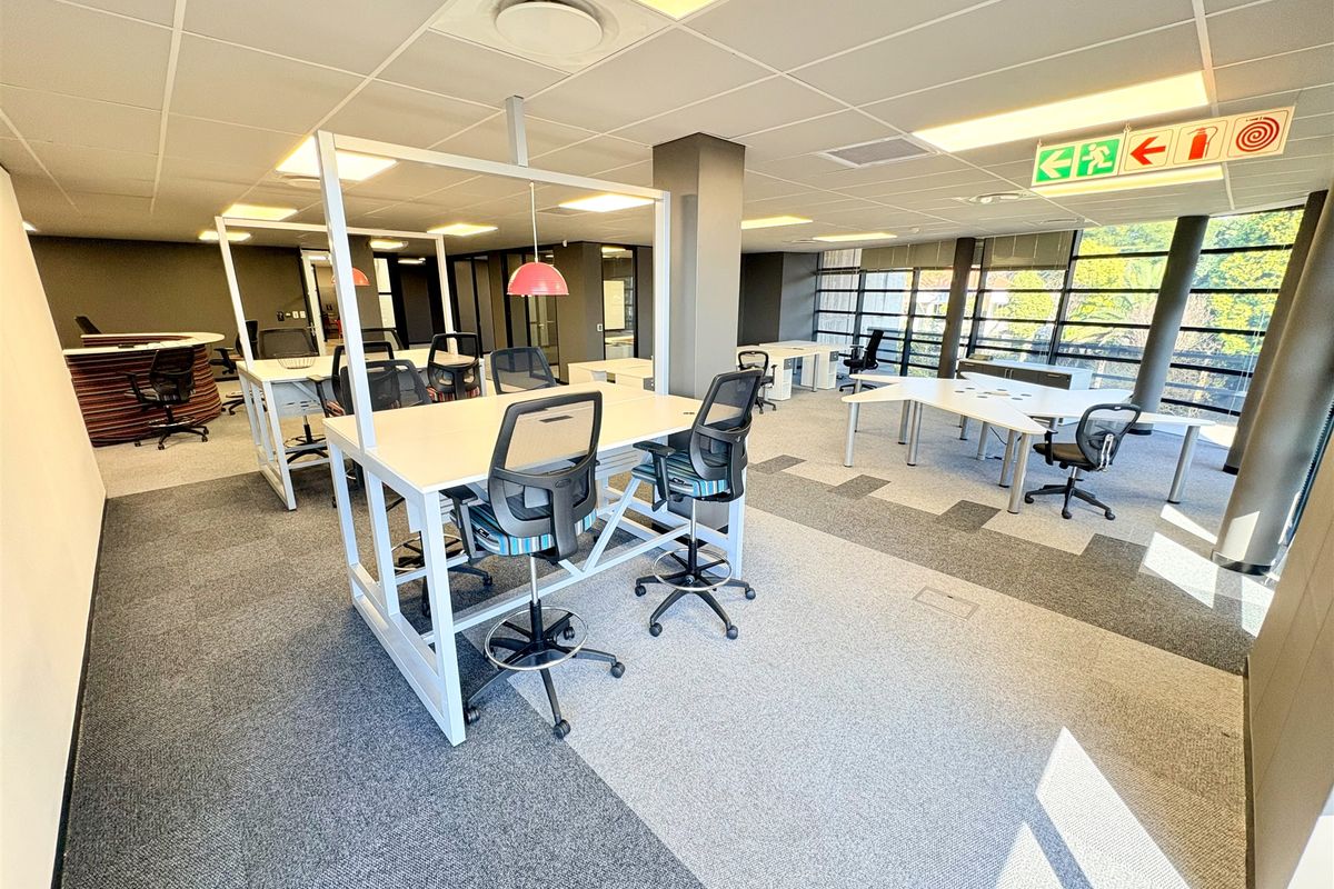 Open-plan office space featuring carpeted flooring, suspended ceilings with recessed lighting, and large windows providing ample natural light.