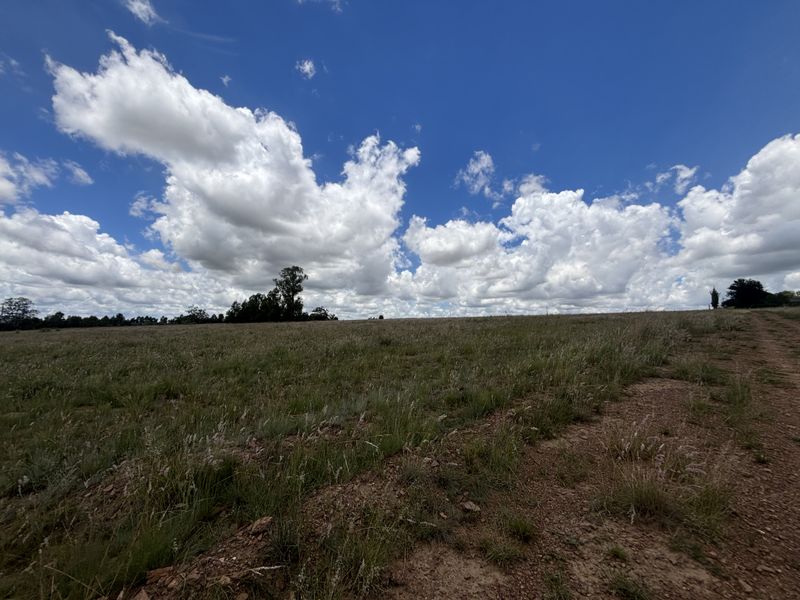 Farm for Sale - Photo 3