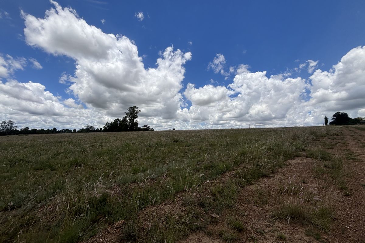 Farm for Sale - Photo 3