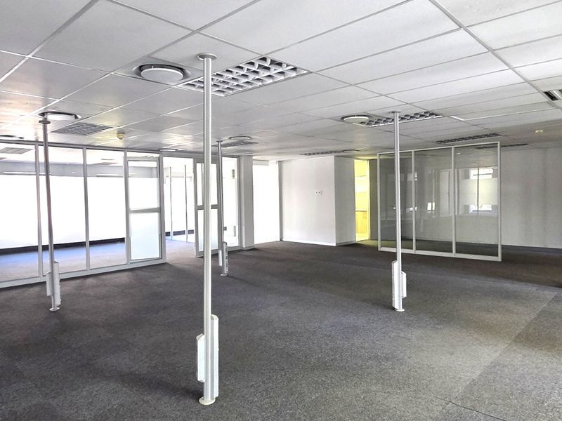 Spacious open-plan office area featuring suspended ceilings, recessed lighting, carpeted flooring, and modern glass partitioning for flexible workspace configurations.