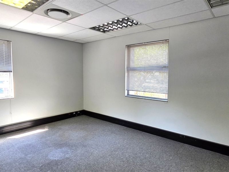 A vacant office space featuring a suspended ceiling, recessed lighting, carpeted flooring, and dual windows with fitted venetian blinds.
