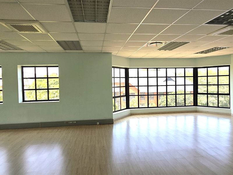 Spacious, open-plan office area featuring laminate flooring, a suspended ceiling with recessed lighting, and large grid windows providing ample natural light.