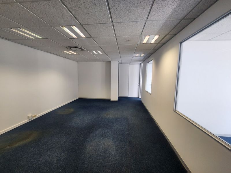 An empty office space featuring a suspended ceiling with recessed lighting, large windows, and blue carpeting showing signs of wear and staining.