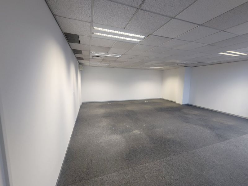 A spacious, empty office area featuring a suspended ceiling with recessed lighting and carpeted flooring, providing a clean, neutral workspace ready for customization.