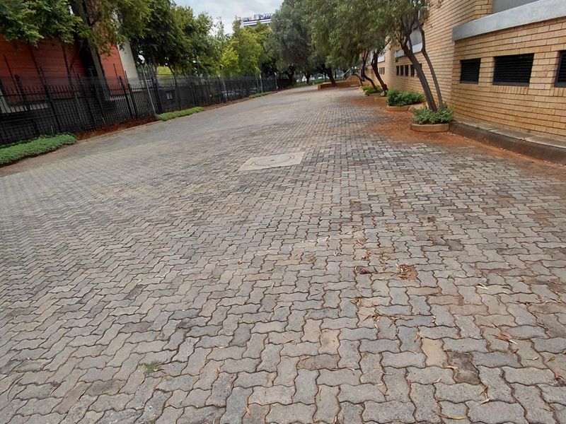 Large Beautiful Freestanding Building in Arcadia - Photo 8