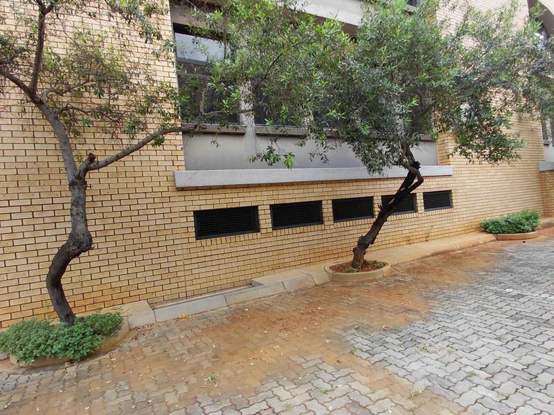 Large Beautiful Freestanding Building in Arcadia - Photo 10