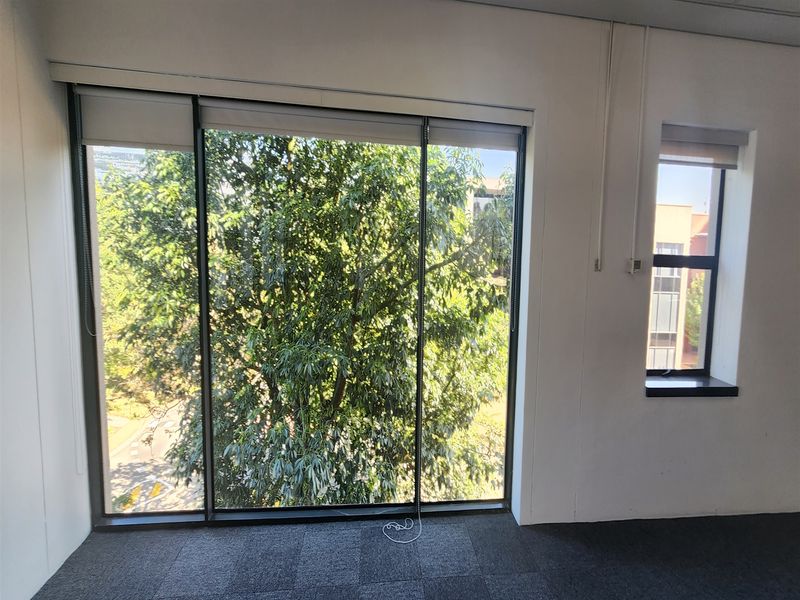 A bright, empty office space featuring large windows with roller blinds, carpeted flooring, and pleasant views of mature trees.
