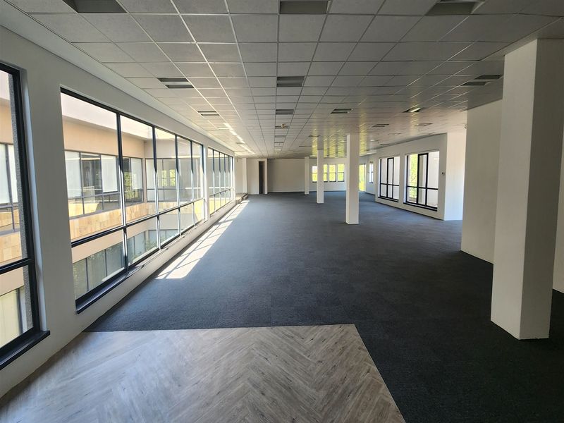 Spacious open-plan office area featuring large windows, a suspended ceiling, and a combination of carpet and herringbone vinyl flooring.