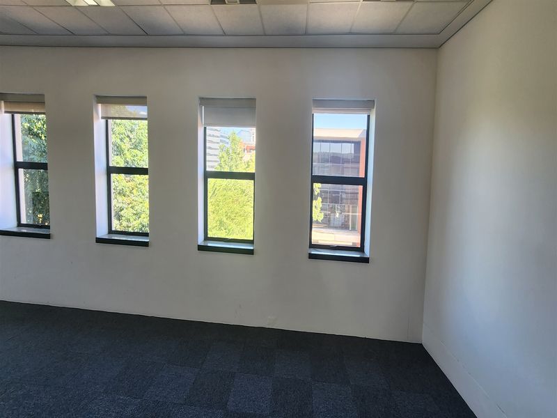 A vacant office space featuring carpet tiles, a suspended ceiling with recessed lighting, and multiple windows with roller blinds.