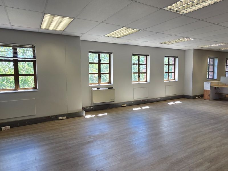 Spacious, open-plan office area featuring laminate flooring, suspended ceilings with recessed lighting, and multiple windows providing natural light.