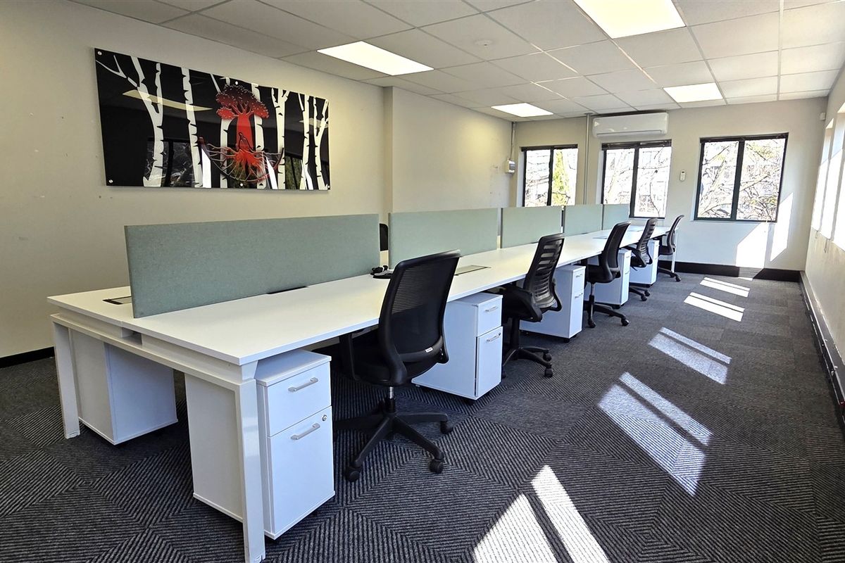 A bright, professional office space featuring carpeted flooring, suspended ceiling with recessed lighting, and large windows providing ample natural light.