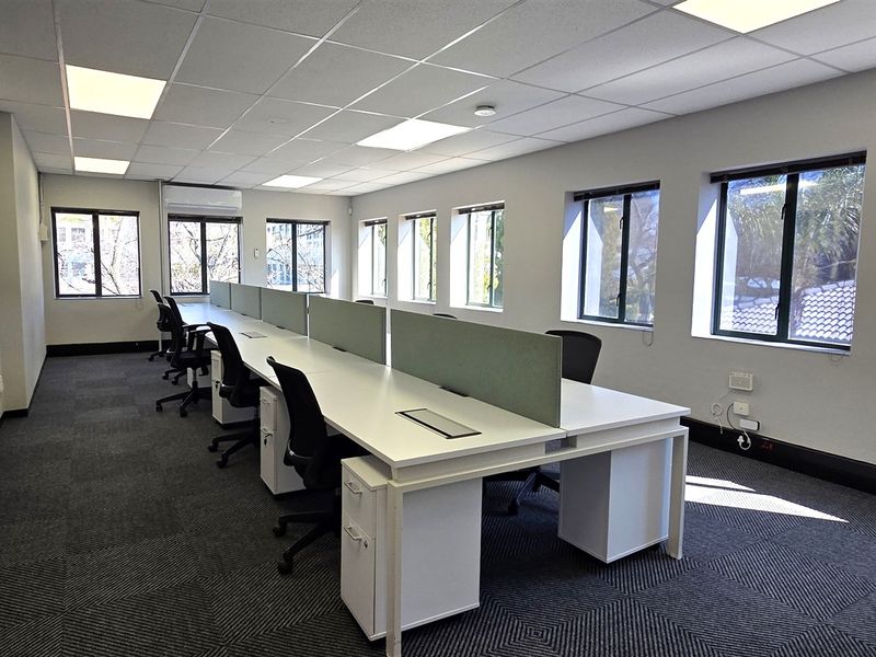A bright, professional office space featuring carpeted flooring, suspended ceilings with recessed lighting, and large windows providing ample natural light.
