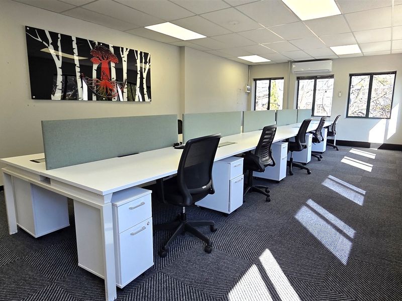 A bright, professional office space featuring carpeted flooring, suspended ceiling with recessed lighting, and large windows providing ample natural light.