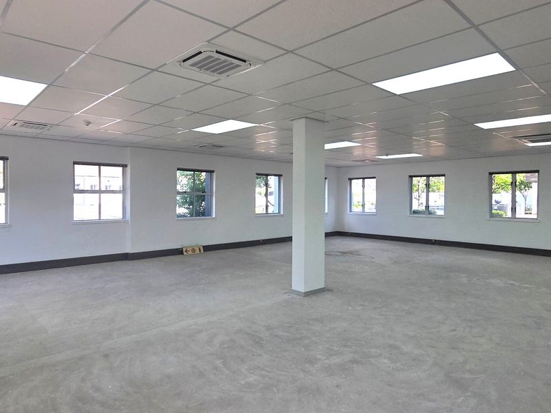 A spacious, open-plan office area featuring a suspended ceiling with recessed lighting, central air conditioning, and large windows providing ample natural light.