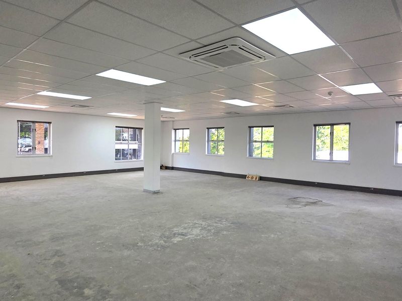 A spacious, open-plan office area featuring a suspended ceiling with recessed lighting, central air conditioning, and multiple windows providing natural light.