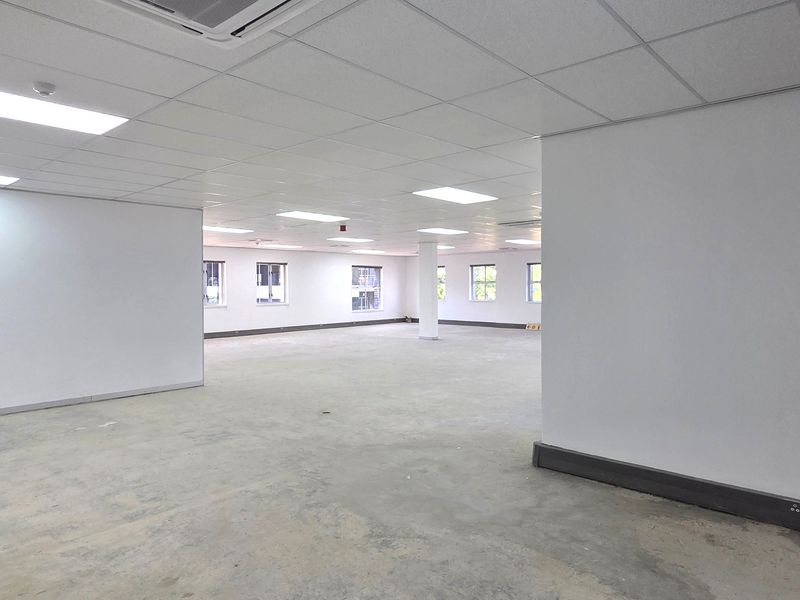 A spacious, open-plan office area featuring a suspended ceiling, recessed lighting, central air conditioning, and unfinished concrete flooring.