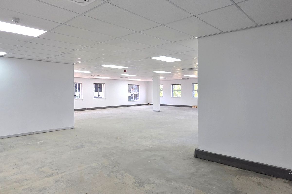 A spacious, open-plan office area featuring a suspended ceiling, recessed lighting, central air conditioning, and unfinished concrete flooring.