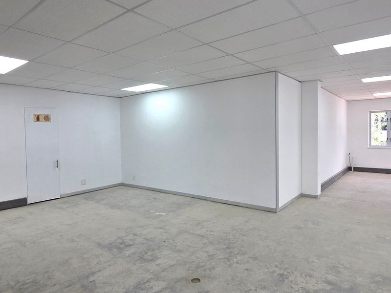 An empty, open-plan office space featuring a suspended ceiling with recessed lighting and unfinished concrete flooring, ready for custom fit-out.