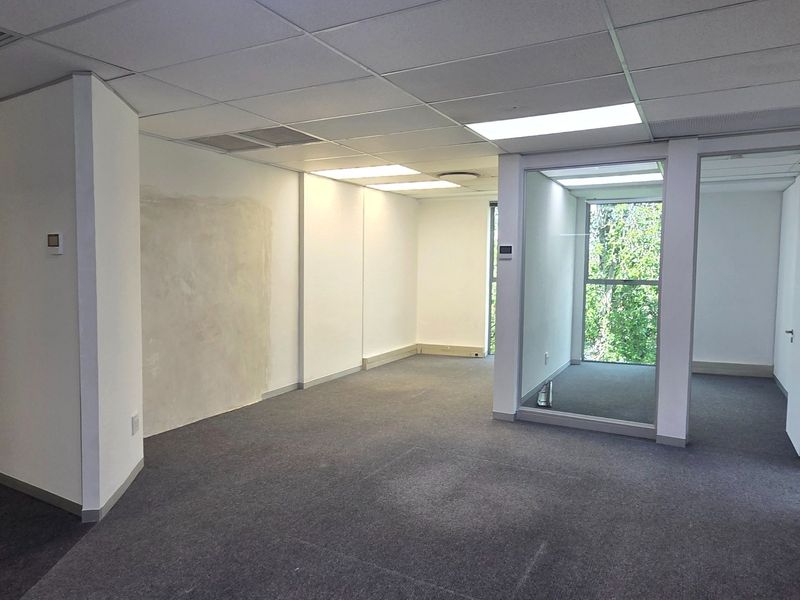 An empty, open-plan office space featuring a suspended ceiling, recessed lighting, carpeted floors, and a glass partition wall with natural light.