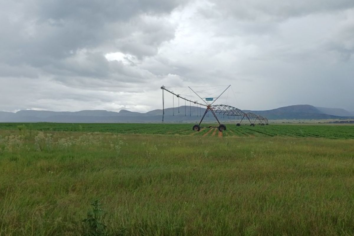 408ha Farm for Sale in Modimolle area! - Photo 5