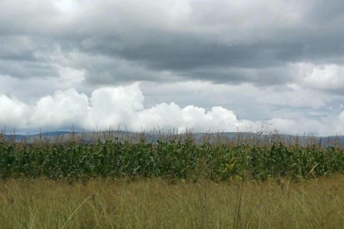 408ha Farm for Sale in Modimolle area! - Photo 2