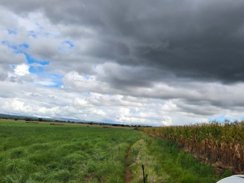 Expansive view of open agricultural land and crop fields under a dramatic cloudy sky, showcasing the rural landscape of the farm property.