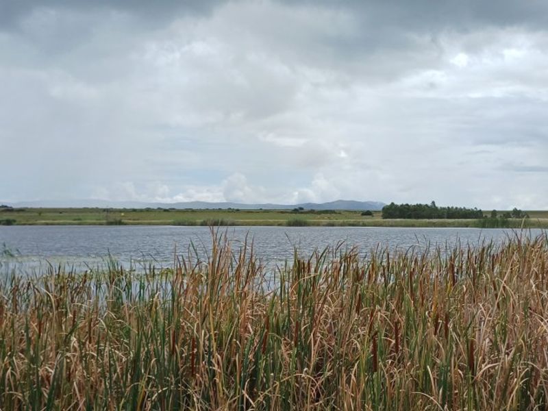 A scenic view of a natural lake surrounded by wetland vegetation and open farmland under a cloudy sky.