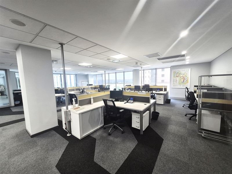 A spacious, modern open-plan office area featuring suspended ceilings, recessed lighting, large windows for natural light, and professional carpeted flooring.