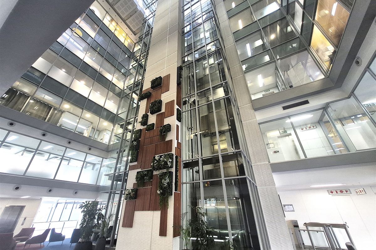 A modern, multi-story office building atrium featuring a central glass elevator shaft, extensive curtain wall glazing, and decorative wood paneling with integrated vertical planters.