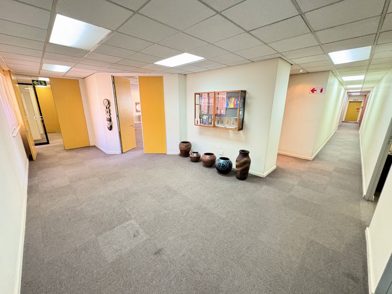 A spacious office hallway featuring carpeted flooring, a suspended ceiling with recessed lighting, and a built-in wall display cabinet.