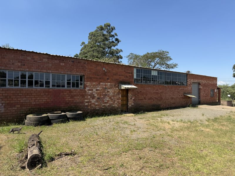 Rear view of an industrial brick warehouse building featuring steel-framed windows, a metal roller shutter door, and a corrugated roof.