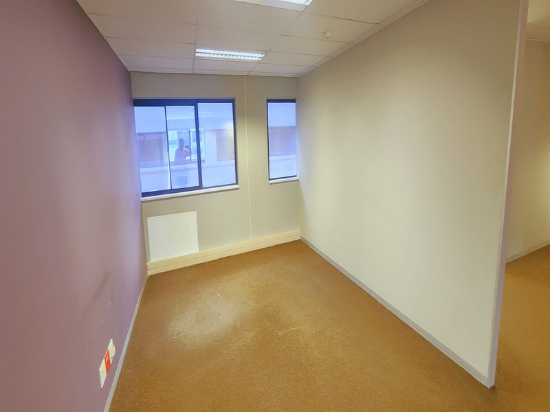 A vacant office space featuring a suspended ceiling, recessed lighting, and carpet flooring, offering a blank canvas for professional workspace customization.