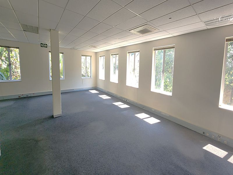 A spacious, empty open-plan office area featuring a suspended ceiling, carpeted flooring, and multiple windows providing ample natural light.
