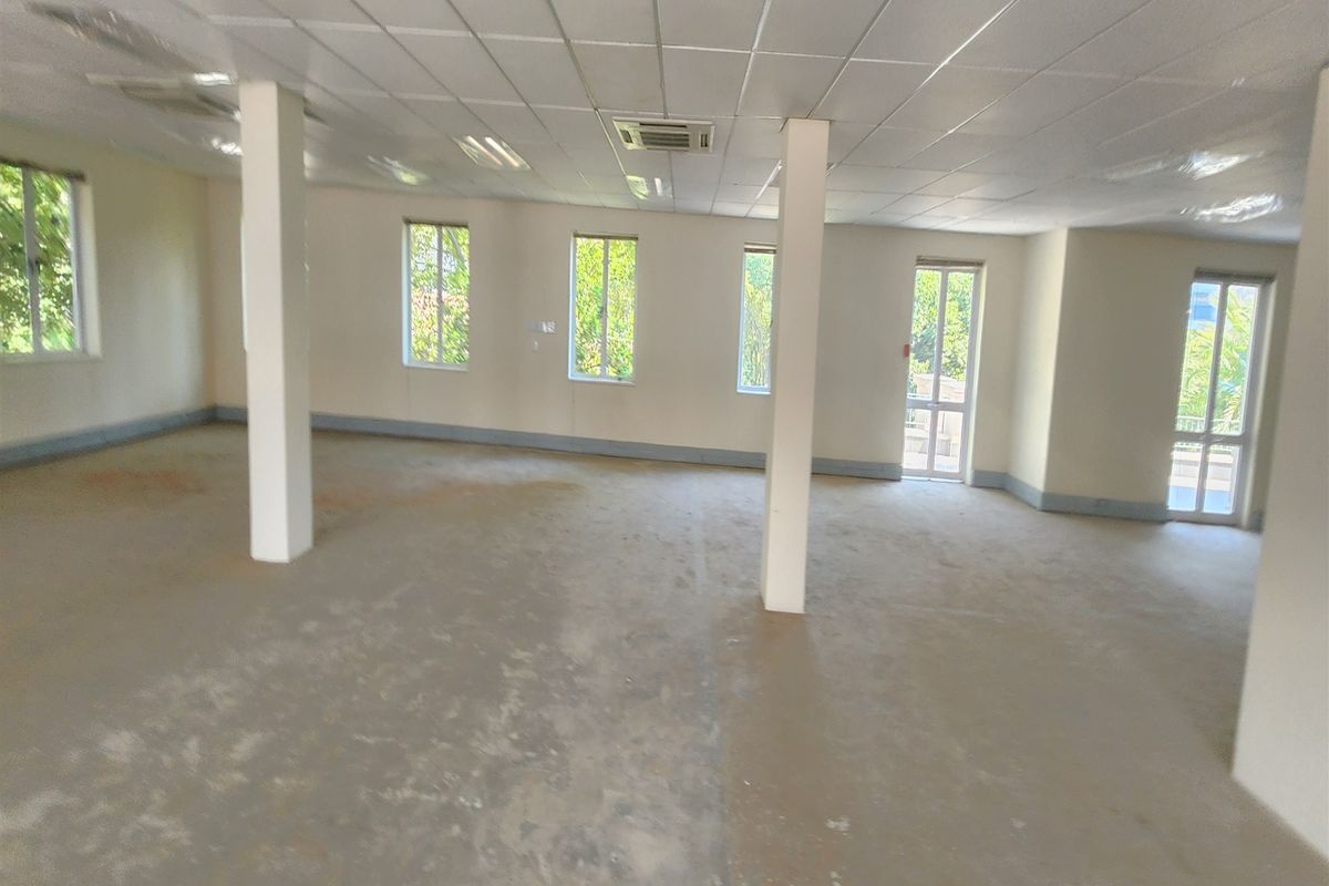 Spacious open-plan office area featuring a suspended ceiling, recessed lighting, central air conditioning, and multiple windows providing ample natural light.